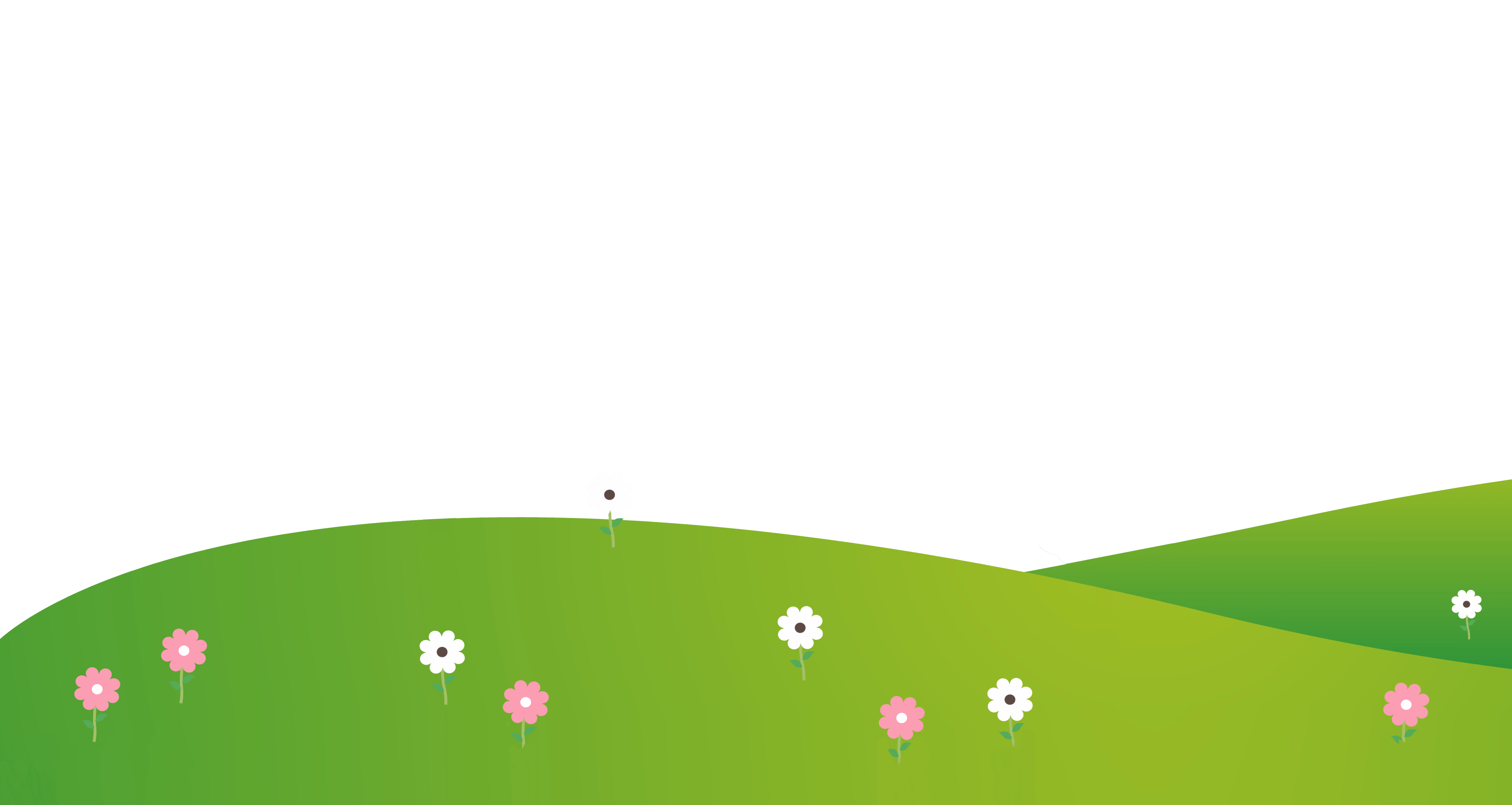 Hills and flowers